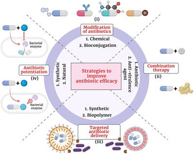 Frontiers | β-Lactam Potentiators To Re-sensitize Resistant Pathogens ...